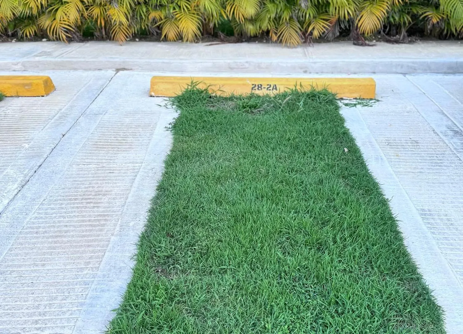 Apartamento Con Piscinas Y Amenidades In Punta Cana Lodge